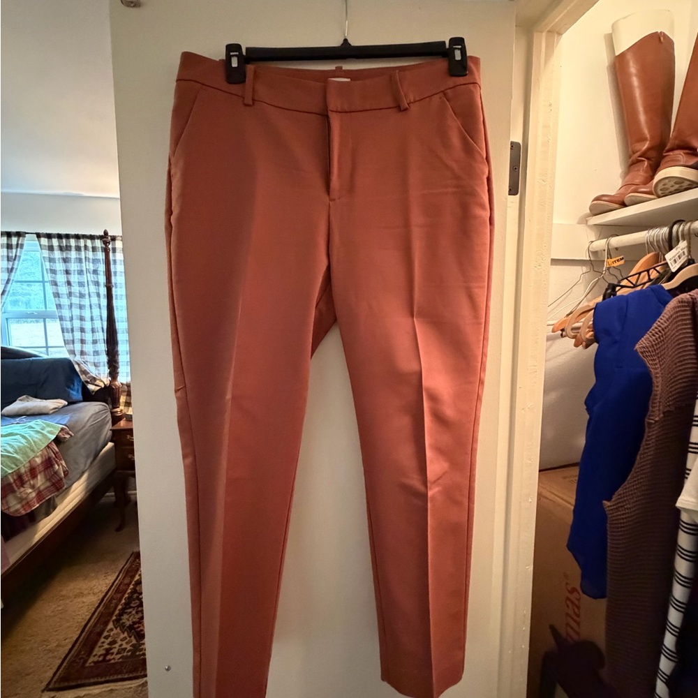 a new day Women's Skinny Pants in Terracotta